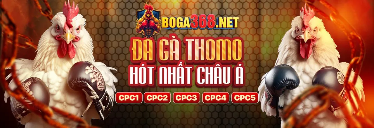 Đá Gà Trực Tuyến s666111